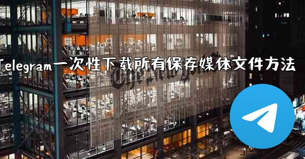 Telegram一次性下载所有保存媒体文件方法
