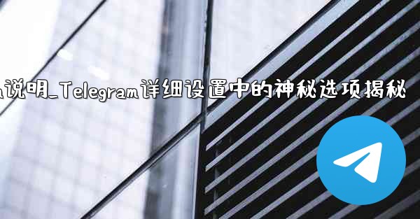 telegram说明_Telegram详细设置中的神秘选项揭秘