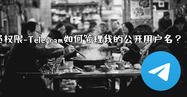 telegram管理员权限-Telegram如何管理我的公开用户名?