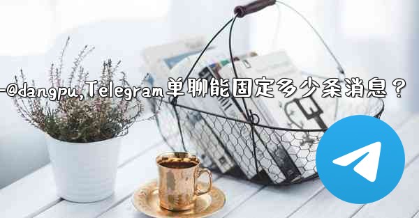 telegram-@dangpu,Telegram单聊能固定多少条消息？