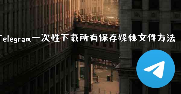 Telegram に保存されたすべてのメディア ファイルを一度にダウンロードするにはどうすればよいですか？-Telegram一次性下载所有保存媒体文件方法