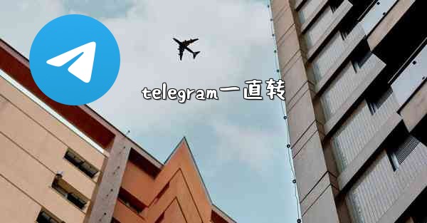 telegram一直转