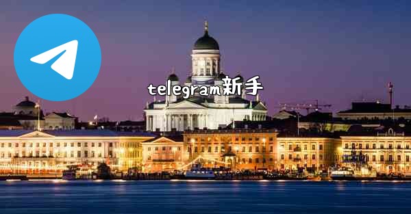 telegram新手