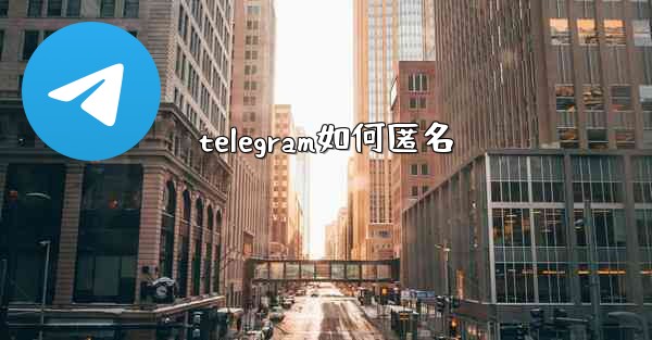 telegram如何匿名