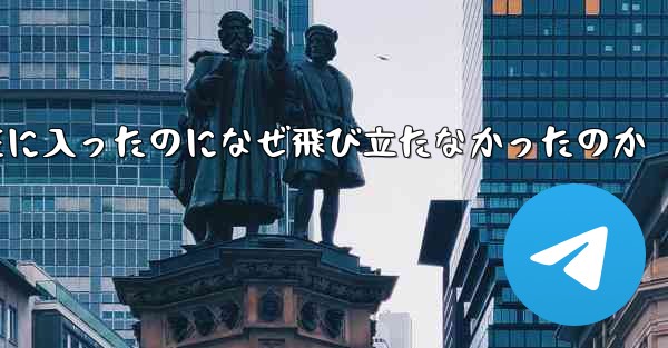 24機の飛行機が中国領空に入ったのになぜ飛び立たなかったのか