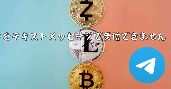 <b>紙飛行機の認証コードをテキストメッセージで受信できません</b>