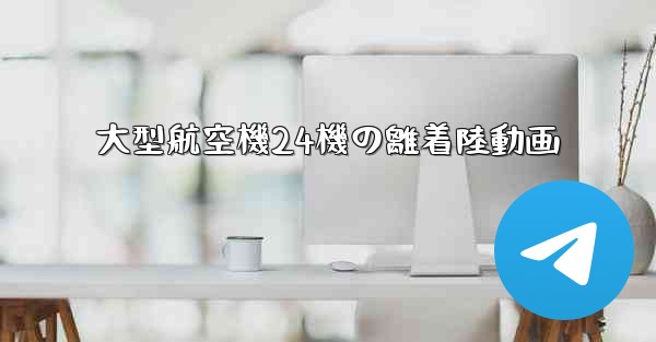 大型航空機24機の離着陸動画