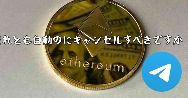 紙飛行機は自分でキャンセルするべきですかそれとも自動のにキャンセルすべきですか