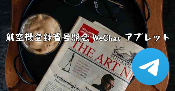 航空機登録番号照会 WeChat アプレット