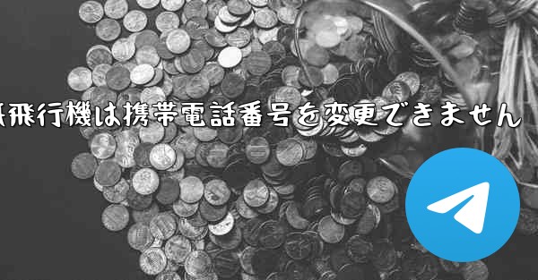 紙飛行機は携帯電話番号を変更できません