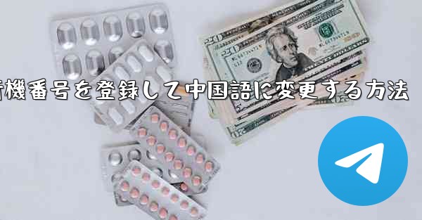 飛行機番号を登録して中国語に変更する方法