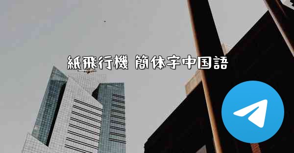 紙飛行機 簡体字中国語
