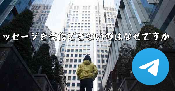 Paper Plane が確認コードのテキスト メッセージを受信できないのはなぜですか