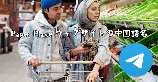 Paper Plane ウェブサイトの中国語名