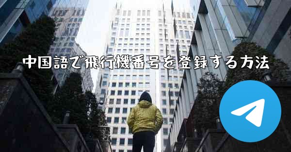 <b>中国語で飛行機番号を登録する方法</b>