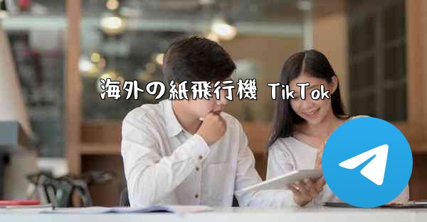 海外の紙飛行機 TikTok