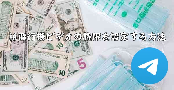 紙飛行機ビデオの権限を設定する方法