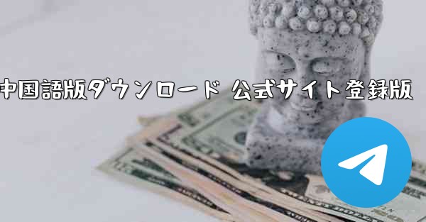 Paper Plane 中国語版ダウンロード 公式サイト登録版