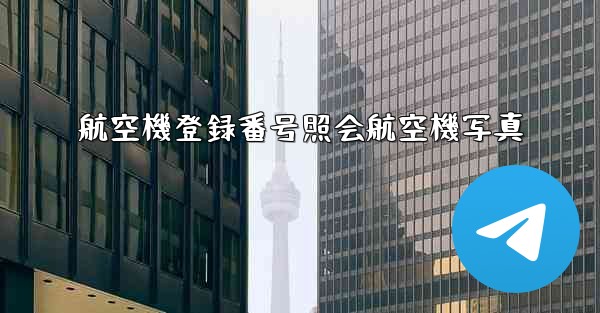 <b>航空機登録番号照会航空機写真</b>