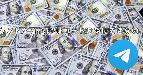 紙飛行機の登録アカウントが SMS 認証コードを受信できない