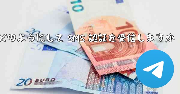 Paper Plane はどのようにして SMS 認証を受信しますか