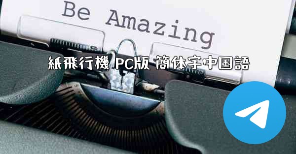 紙飛行機 PC版 簡体字中国語