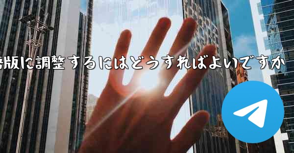 紙飛行機を中国語版に調整するにはどうすればよいですか
