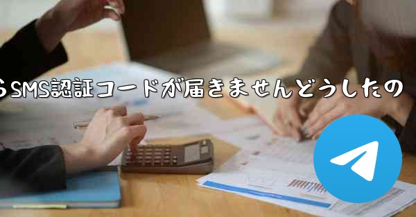 <b>Paper PlaneからSMS認証コードが届きませんどうしたの</b>