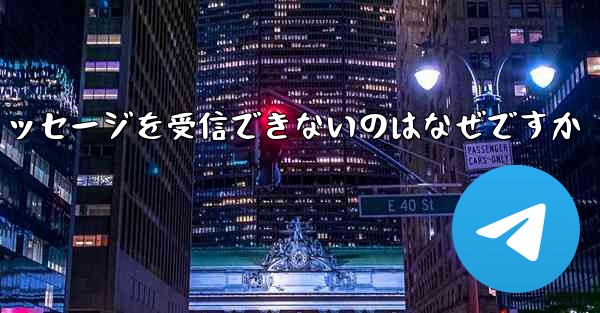 Paper Plane からテキスト メッセージを受信できないのはなぜですか