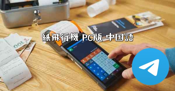 紙飛行機 PC版 中国語