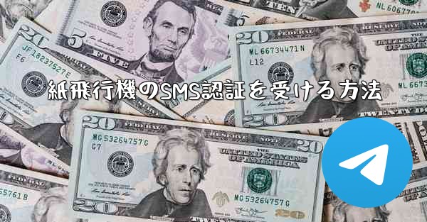 紙飛行機のSMS認証を受ける方法