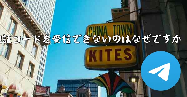 Paper Plane が認証コードを受信できないのはなぜですか