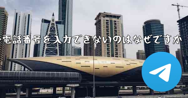 Paper Plane の携帯電話番号を入力できないのはなぜですか