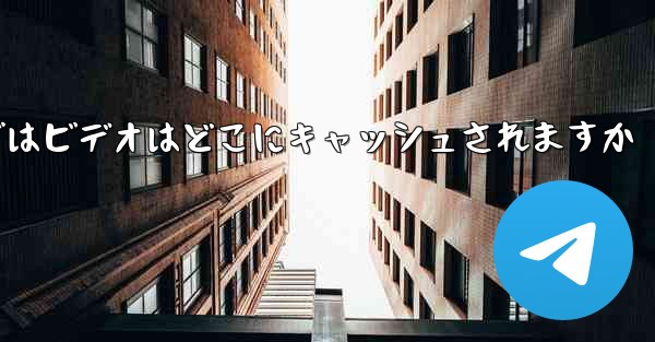 Web バージョンの Paper Plane telegeram ではビデオはどこにキャッシュされますか