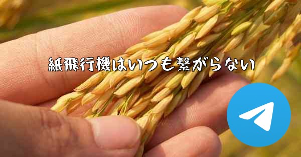 紙飛行機はいつも繋がらない