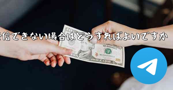 <b>Paper Plane の国内携帯電話番号で認証コードを受信できない場合はどうすればよいですか</b>