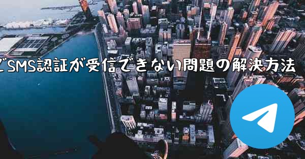 紙飛行機でSMS認証が受信できない問題の解決方法
