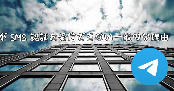 Paper Plane が SMS 認証を受信できない一般のな理由