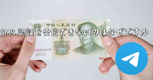Paper Plane が SMS 認証を受信できないのはなぜですか