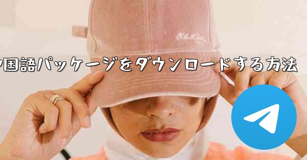 Paper Plane から簡体字中国語パッケージをダウンロードする方法