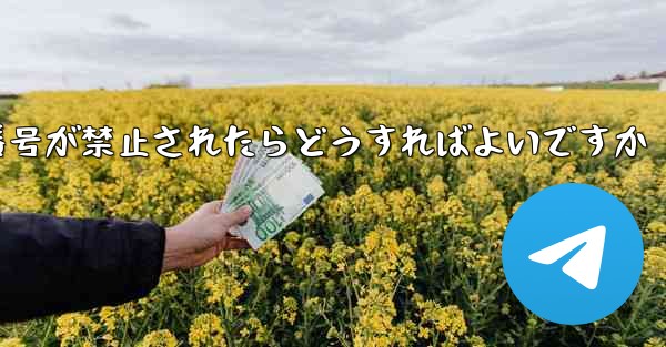 <b>私の紙飛行機の携帯電話番号が禁止されたらどうすればよいですか</b>