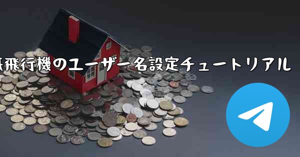 紙飛行機のユーザー名設定チュートリアル