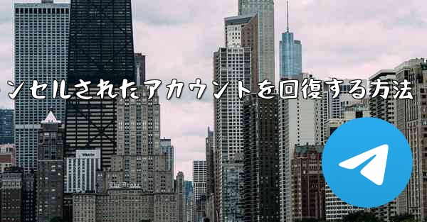 <b>Paper Planeのキャンセルされたアカウントを回復する方法</b>