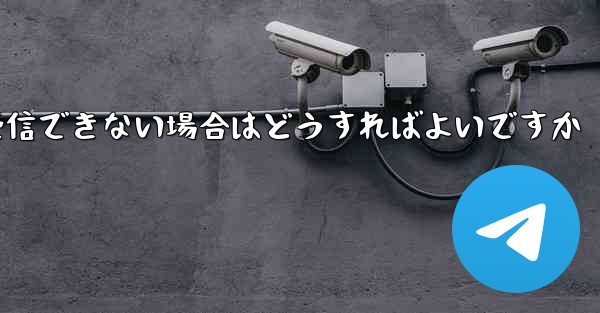 Paper Plane で認証コードを受信できない場合はどうすればよいですか