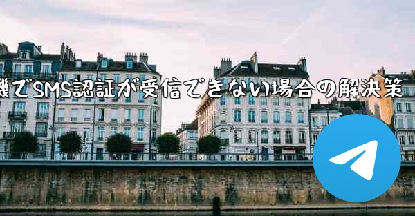 <b>紙飛行機でSMS認証が受信できない場合の解決策</b>
