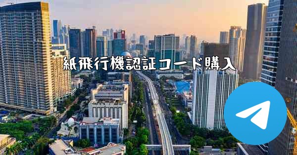 紙飛行機認証コード購入