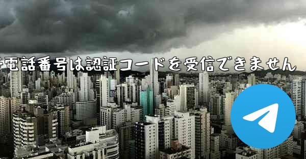 <b>Paper Plane の携帯電話番号は認証コードを受信できません</b>