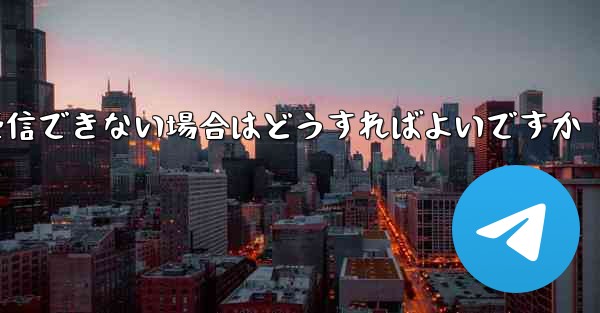 Paper Plane の国内携帯電話番号で認証コードを受信できない場合はどうすればよいですか