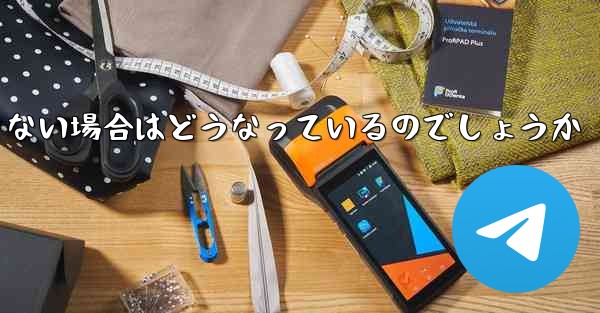 Paper Plane が SMS 認証コードを受信できない場合はどうなっているのでしょうか