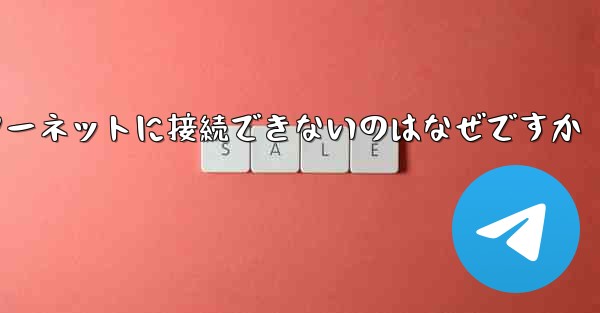 中国では紙飛行機ソフトウェアがインターネットに接続できないのはなぜですか
